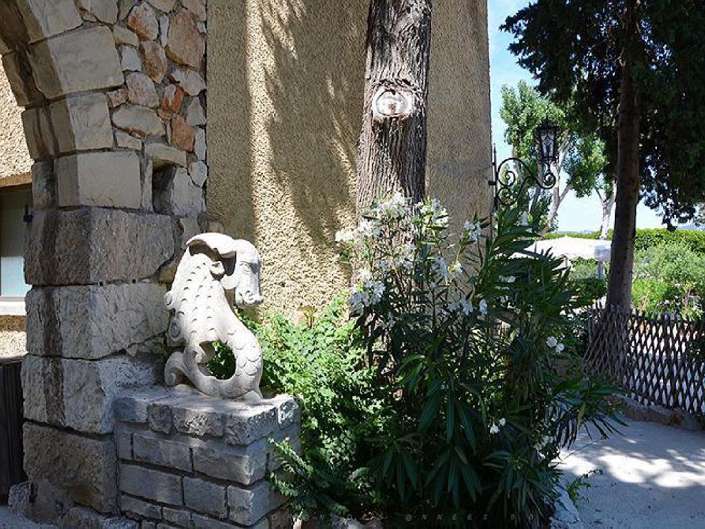183 D33 ILE DE BENDOR_000040.jpg